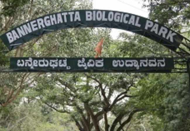 SC appointed CEC member visits Bannerghatta National Park over plea against reduction of ESZ